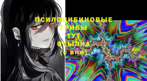 кокс Арсеньев