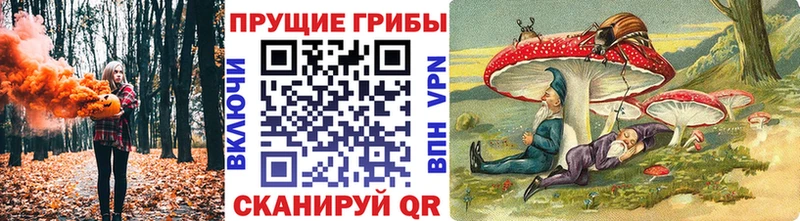 MEGA онион  Плёс  Псилоцибиновые грибы Magic Shrooms 